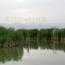ĭ