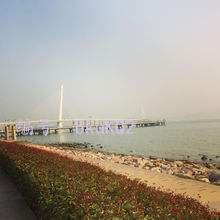 ˲