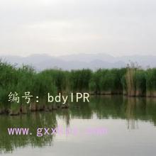 ĺ֮