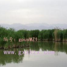 ĺ֮